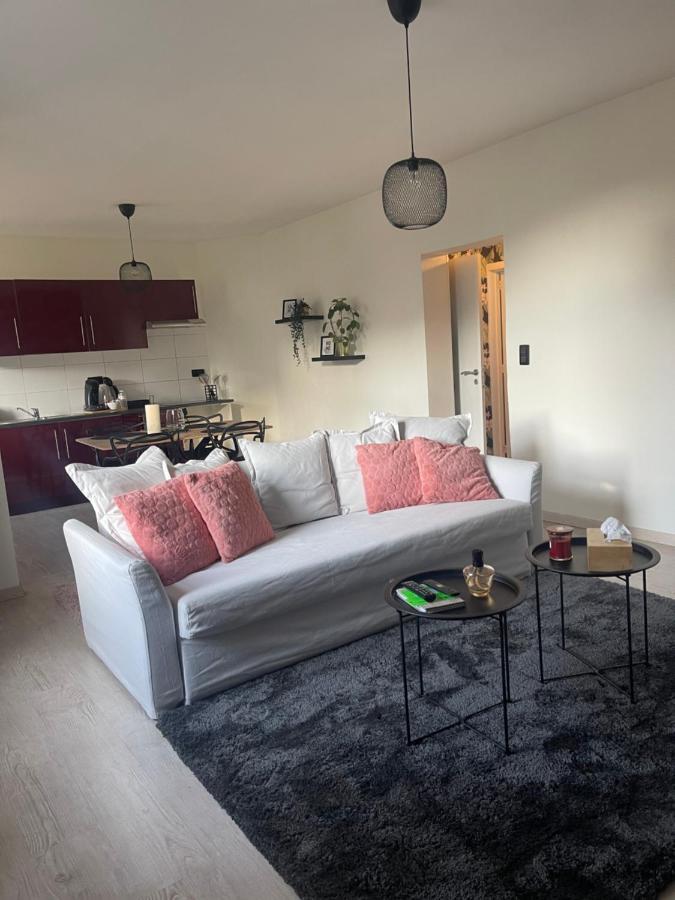 Le Cocon De La Belle Liegeoise Apartment Екстериор снимка