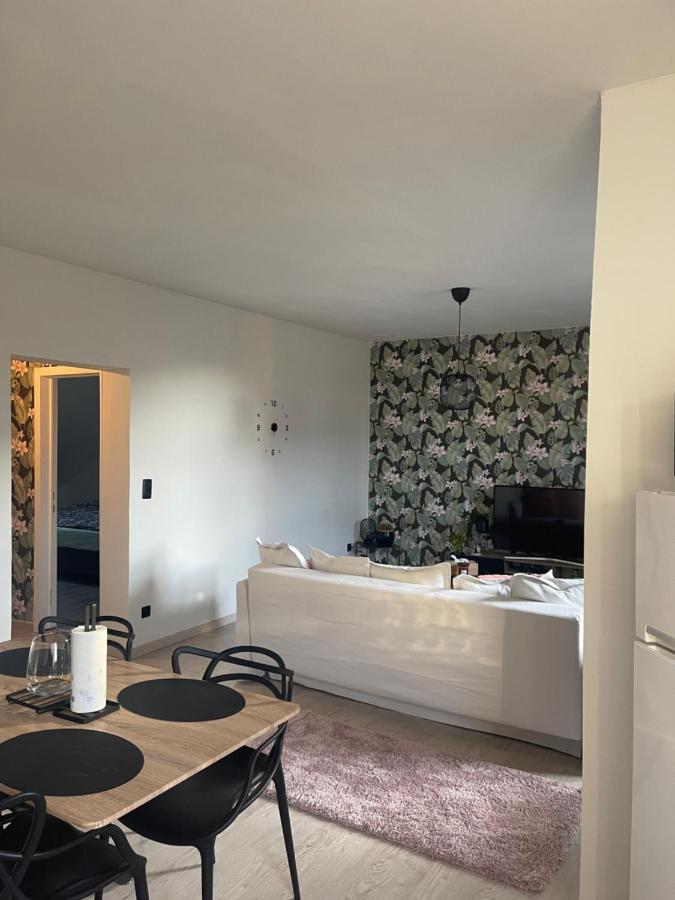 Le Cocon De La Belle Liegeoise Apartment Екстериор снимка
